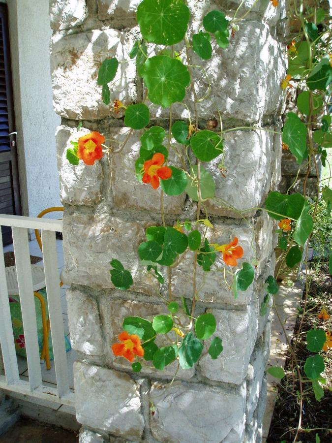 קרק Apartments Vjera מראה חיצוני תמונה